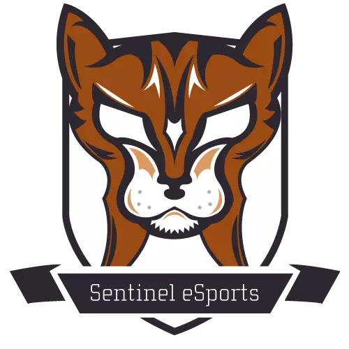 Sentinel esports 2017