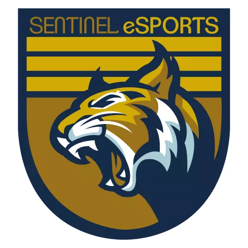 Sentinel esports 2018